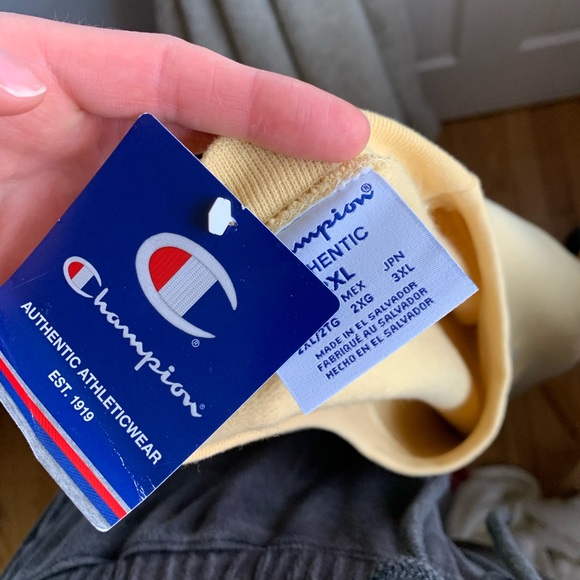 BNWT CHAMPION CREWNECK - Picture 4 of 4